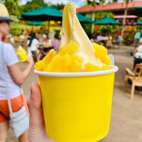 Pineapple Whip Frozen Treat